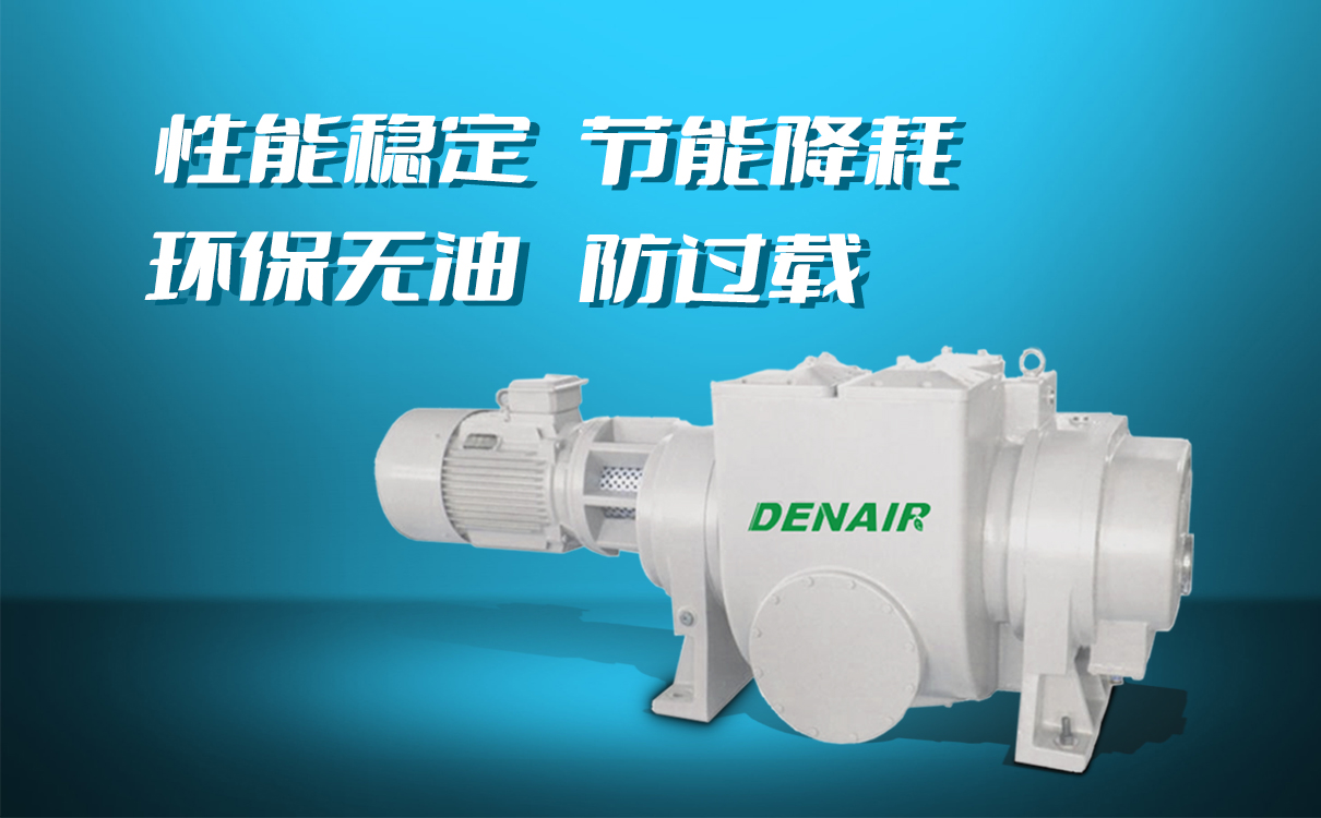 德耐爾羅茨真空泵